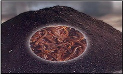  Vermi Compost